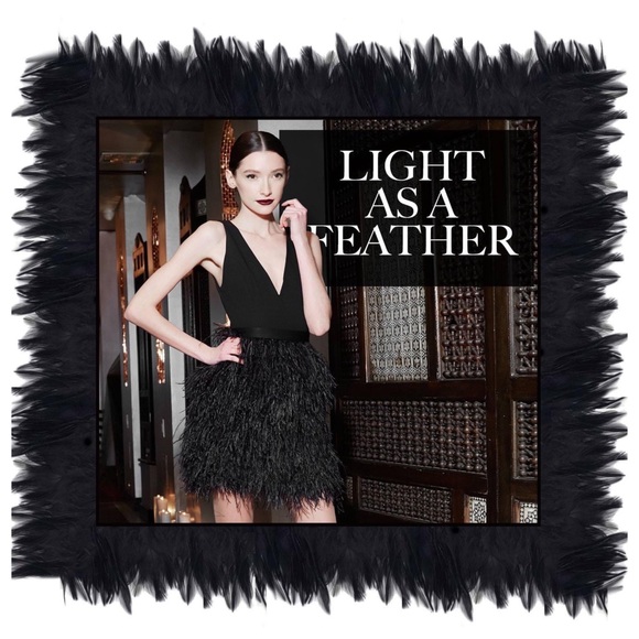 ALICE + OLIVIA Kiara Feather Dress - Picture 9 of 12